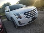 CADILLAC ESCALADE P photo