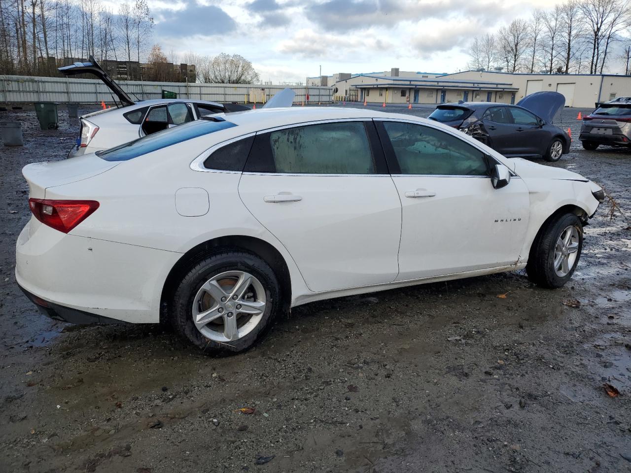 Lot #2991022215 2020 CHEVROLET MALIBU LS