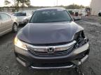 Lot #3023628259 2017 HONDA ACCORD EXL