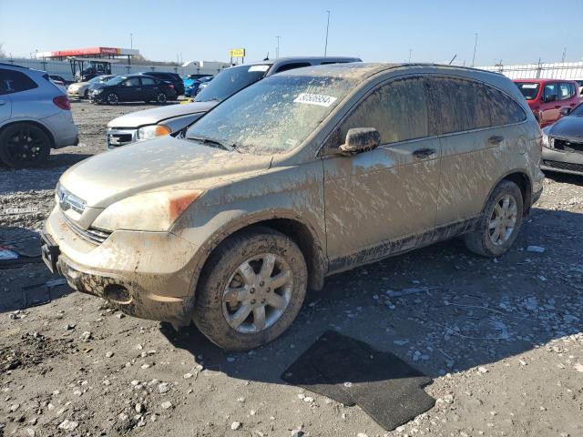 HONDA CR-V EX