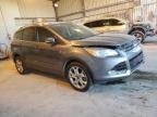 Lot #3023183142 2014 FORD ESCAPE TIT