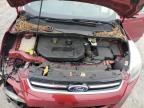 Lot #3024733275 2014 FORD ESCAPE TIT