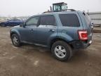 Lot #3023764890 2011 FORD ESCAPE XLT