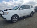 HONDA PILOT EXL photo