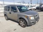 Lot #3024035237 2004 HONDA ELEMENT EX