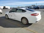 Lot #3033000999 2014 FORD FUSION SE