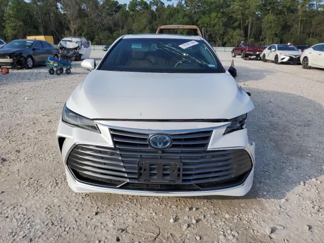 2019 TOYOTA AVALON XLE - 4T1B21FB1KU010609