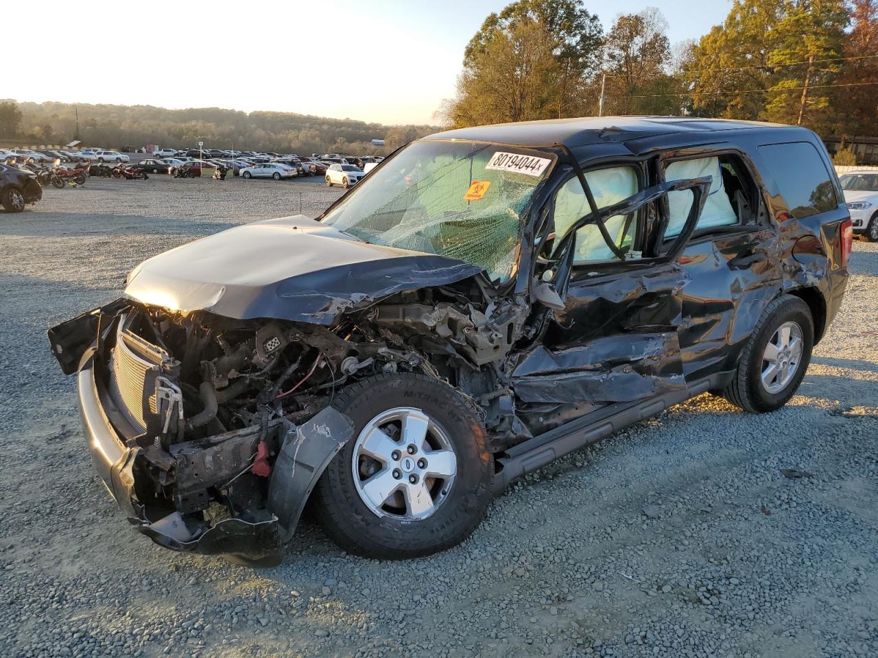 Lot #3024515419 2011 FORD ESCAPE XLS