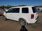 Lot #3024810359 2014 HONDA PILOT EXLN