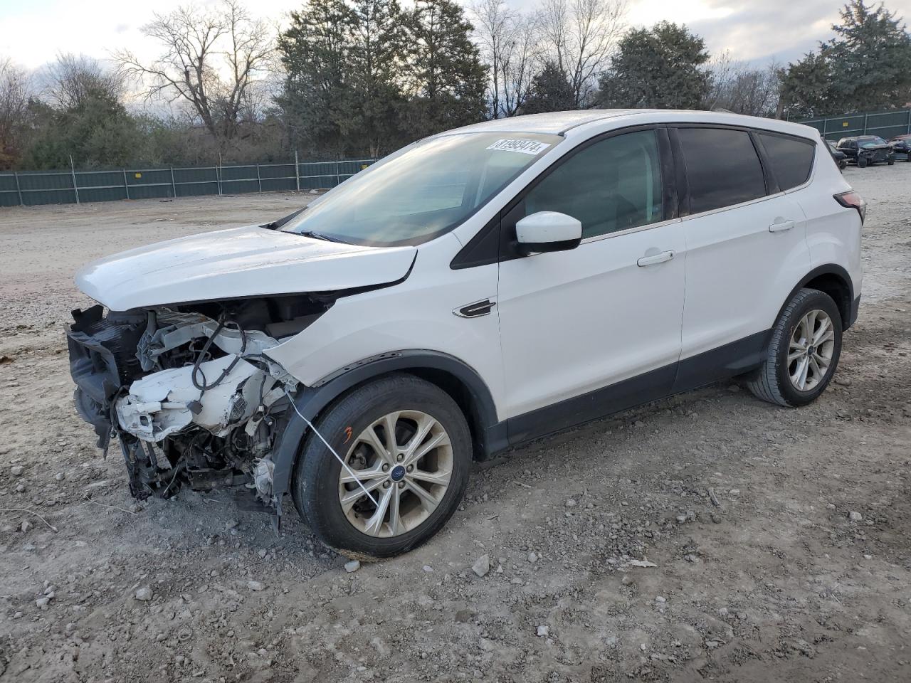 Lot #3029656068 2017 FORD ESCAPE SE