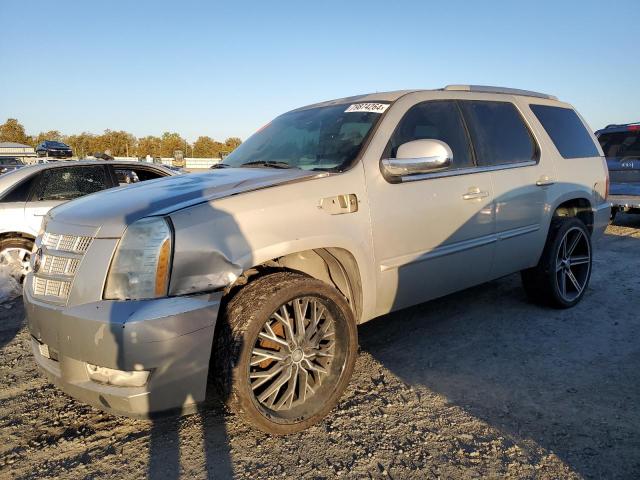 CADILLAC ESCALADE P 2014 tan 4dr spor flexible fuel 1GYS4CEFXER182721 photo #1