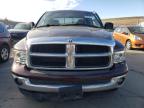 Lot #3024495560 2004 DODGE RAM 1500 S