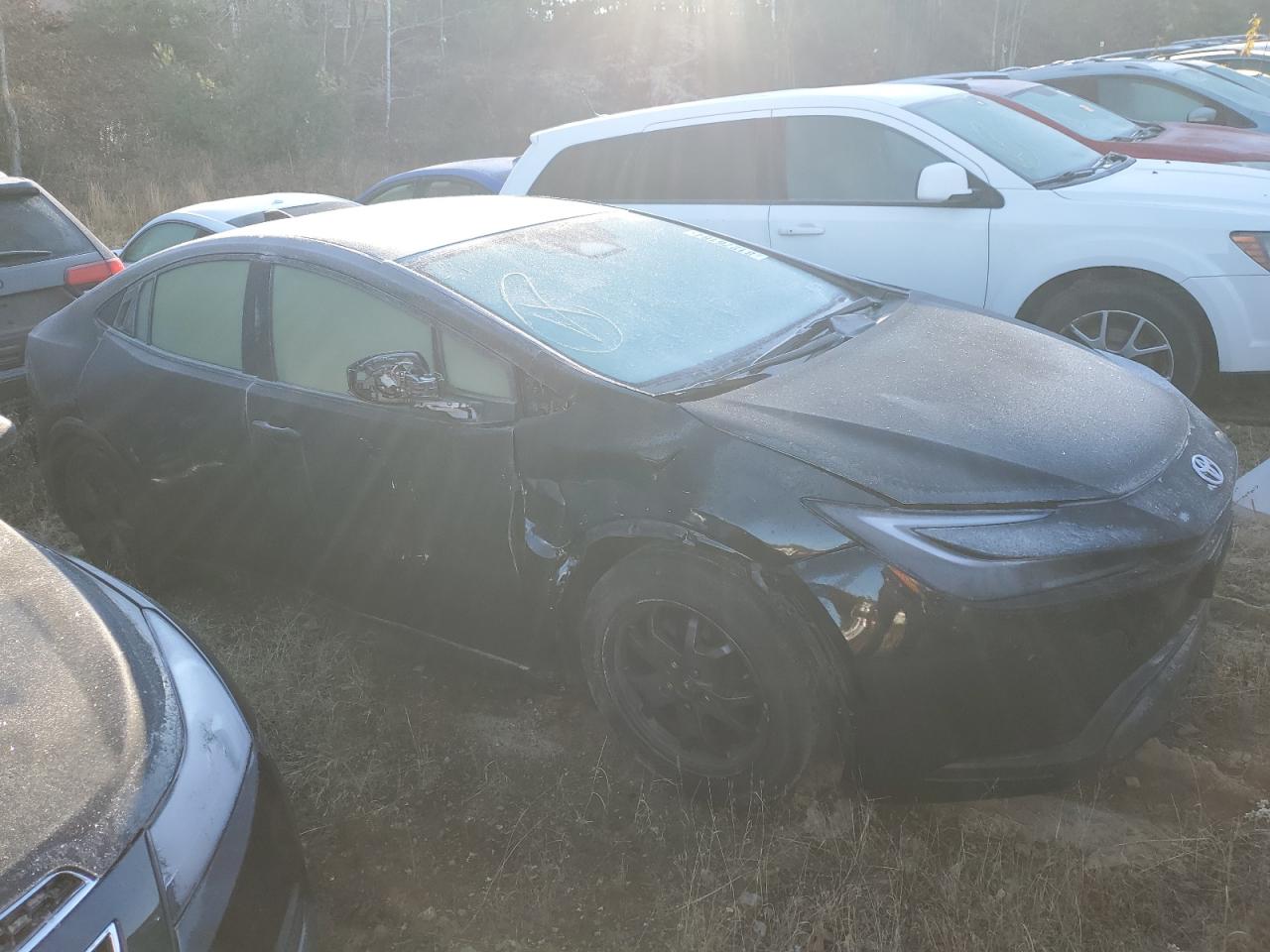 Lot #2991027208 2023 TOYOTA PRIUS LE