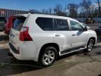 LEXUS GX 460 PRE снимка