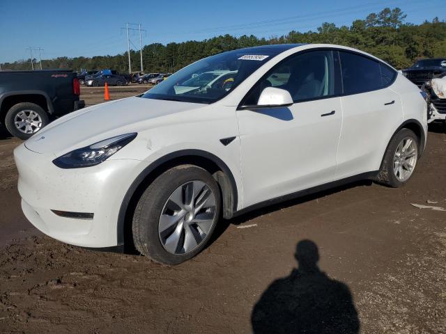 2022 TESLA MODEL Y #3024609607