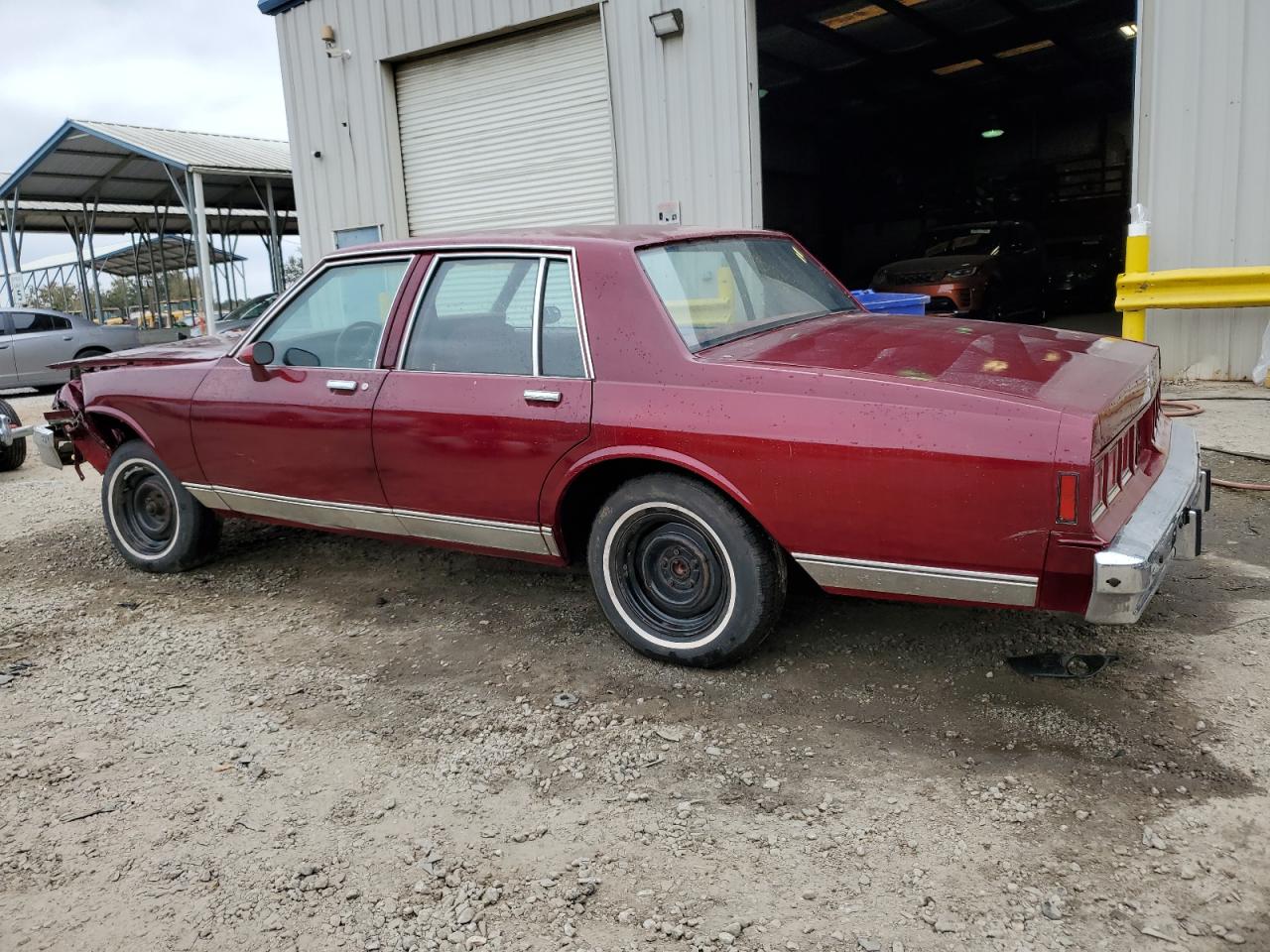 Lot #3029336682 1981 CHEVROLET CAPRICE CL