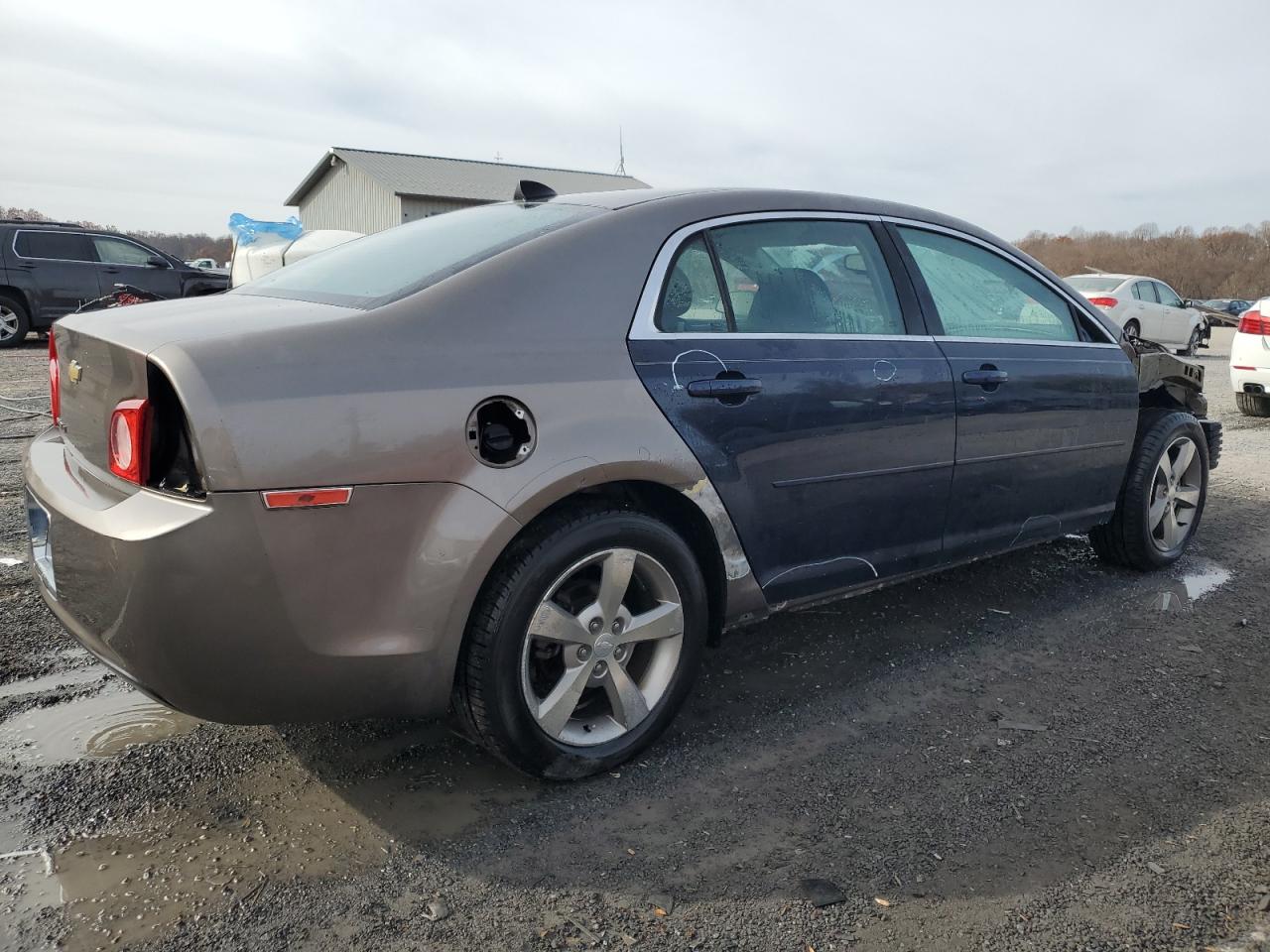 Lot #2986998824 2012 CHEVROLET MALIBU 1LT