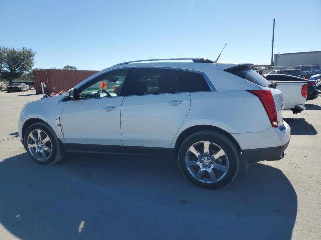 CADILLAC SRX PERFOR 2010 white  gas 3GYFNEEY9AS530463 photo #3