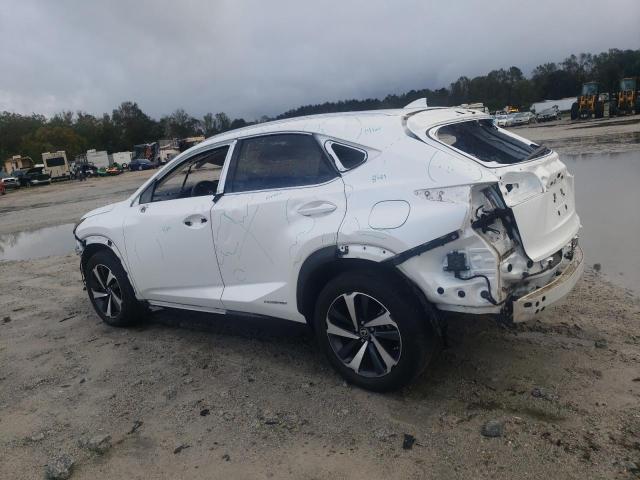 2020 LEXUS NX 300H - JTJGJRDZXL5009737