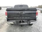 Lot #3024701600 2023 TOYOTA TACOMA DOU