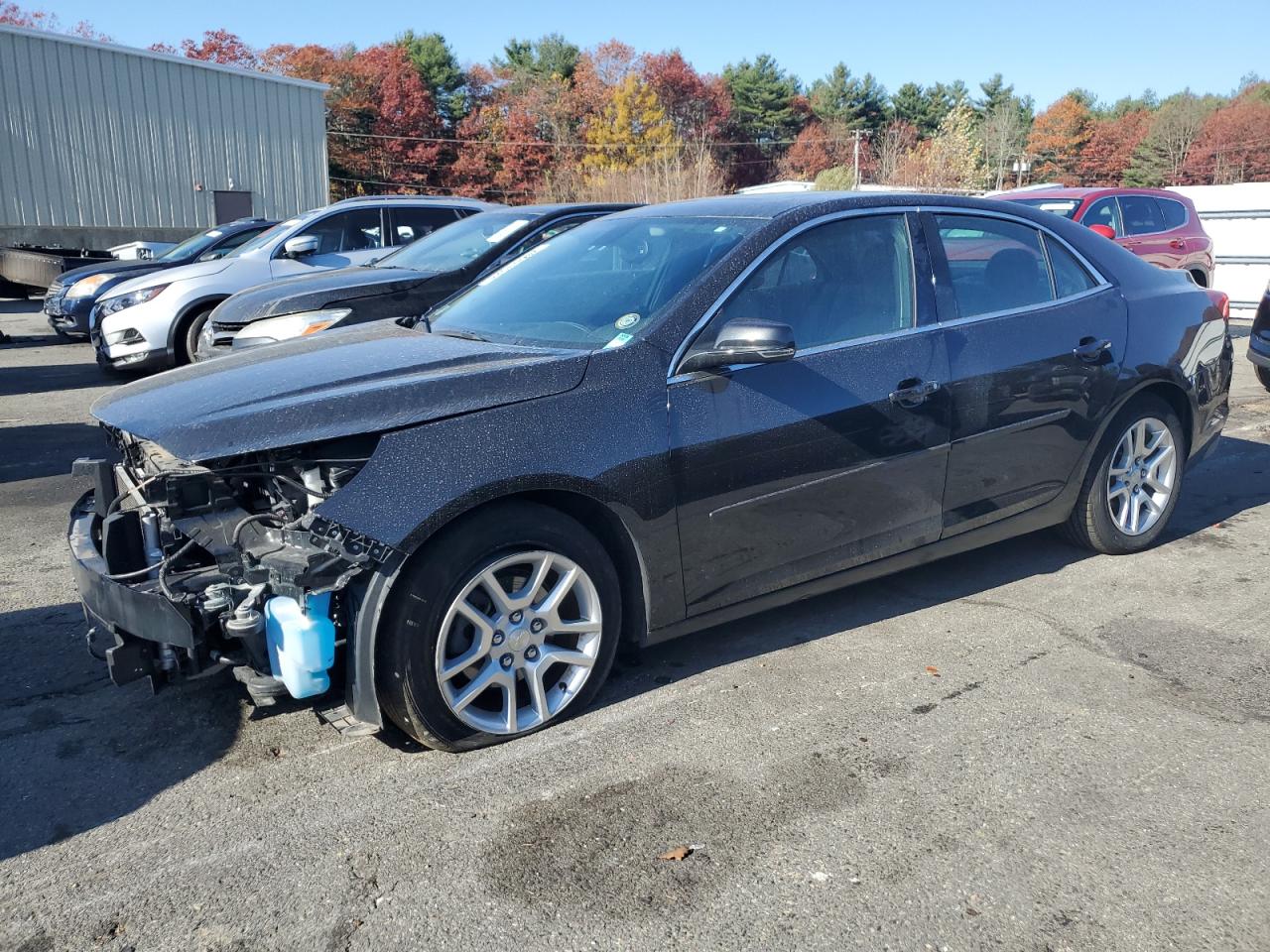 Lot #2960005363 2014 CHEVROLET MALIBU 1LT