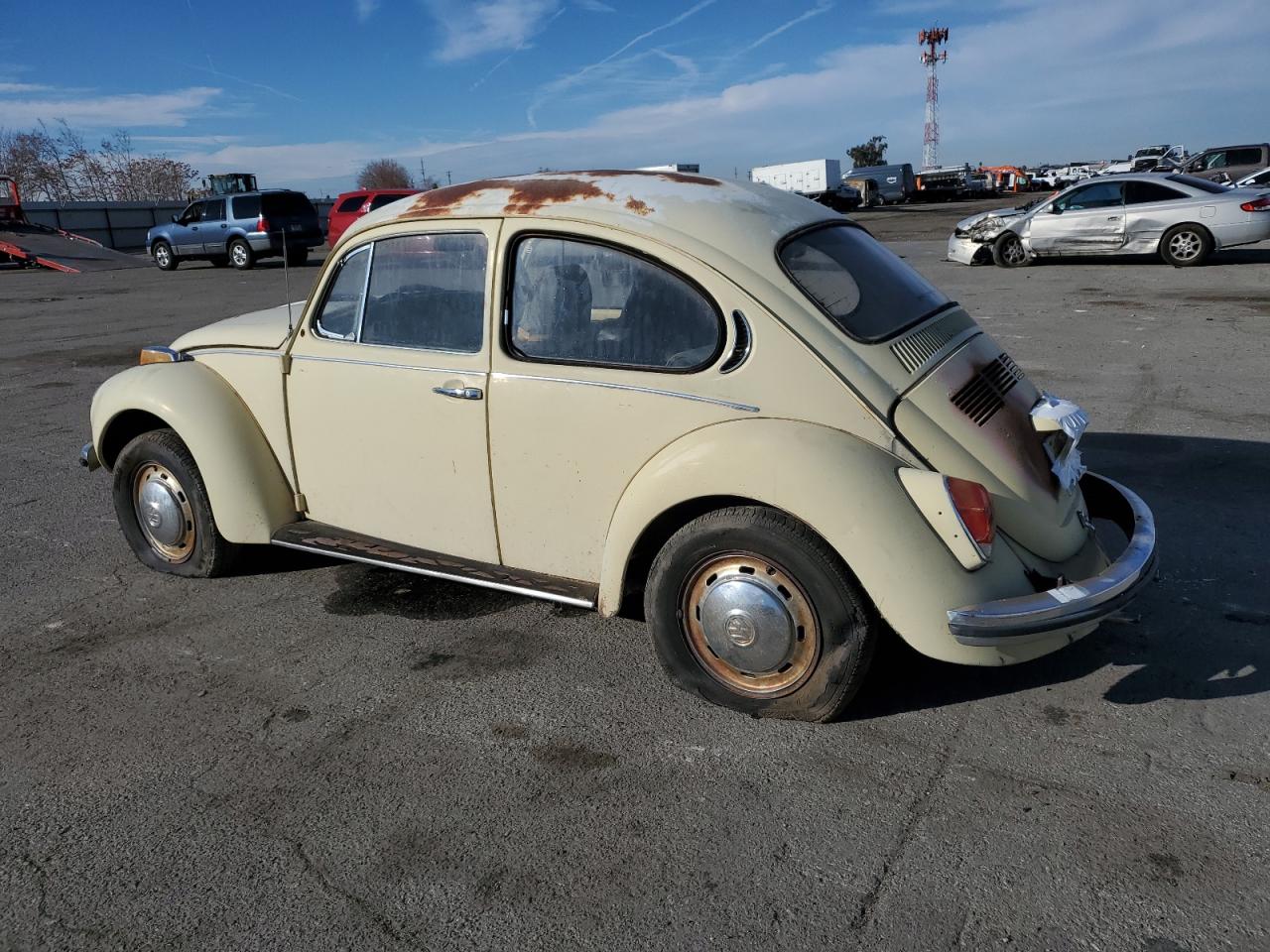 Lot #3008866614 1971 VOLKSWAGEN BEETLE