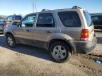 Lot #3023103898 2007 FORD ESCAPE XLT