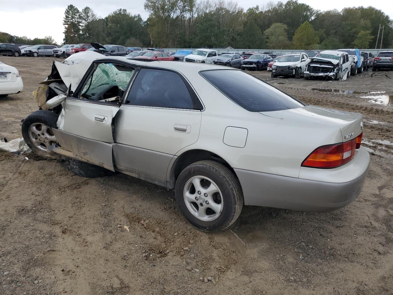 Lot #3009094265 1999 LEXUS ES 300