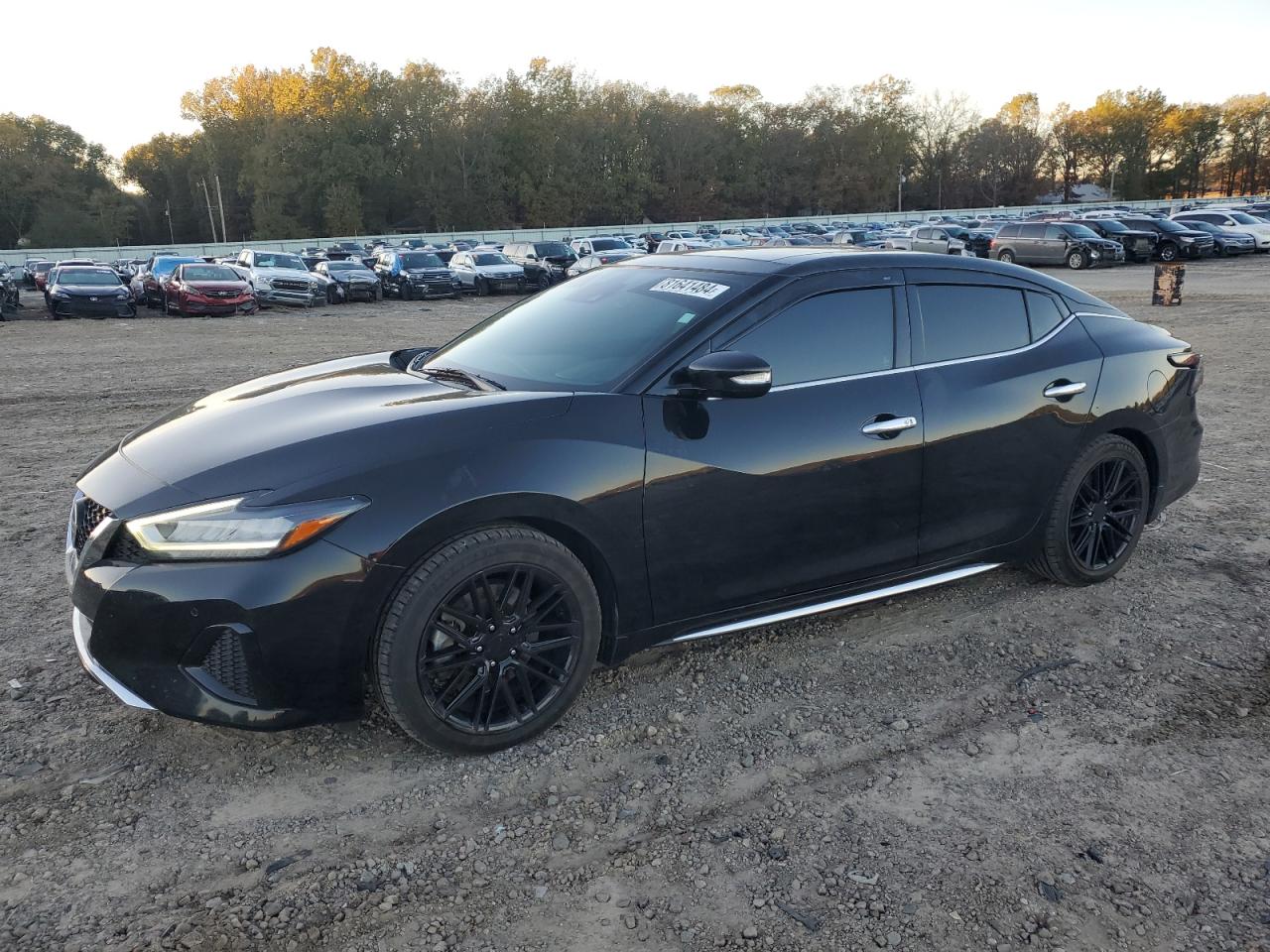 1N4AA6DV5LC385526 NISSAN MAXIMA SL 2020