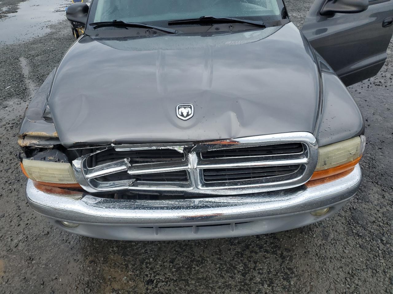 Lot #2962625806 2004 DODGE DAKOTA SLT