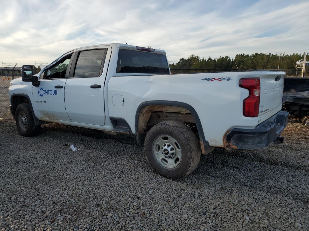 Lot #2986737160 2020 CHEVROLET SILVERADO