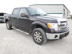 FORD F150 SUPER photo