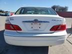 Lot #3032401231 2003 TOYOTA AVALON XL