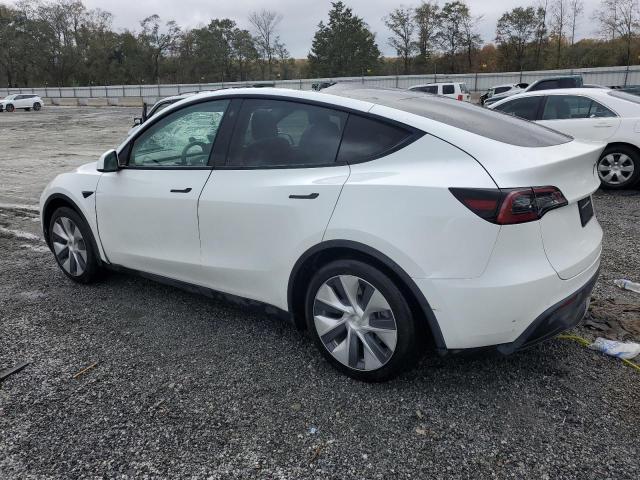 2021 TESLA MODEL Y - 5YJYGAEE3MF145484