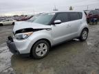 KIA SOUL photo