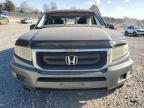 Lot #2991082187 2009 HONDA RIDGELINE