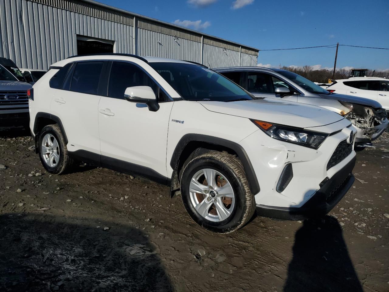 Lot #3029244893 2019 TOYOTA RAV4 LE