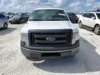 FORD F150 photo