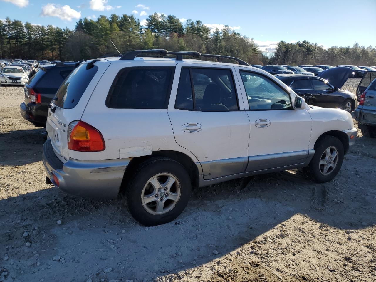 Lot #2974312464 2004 HYUNDAI SANTA FE G