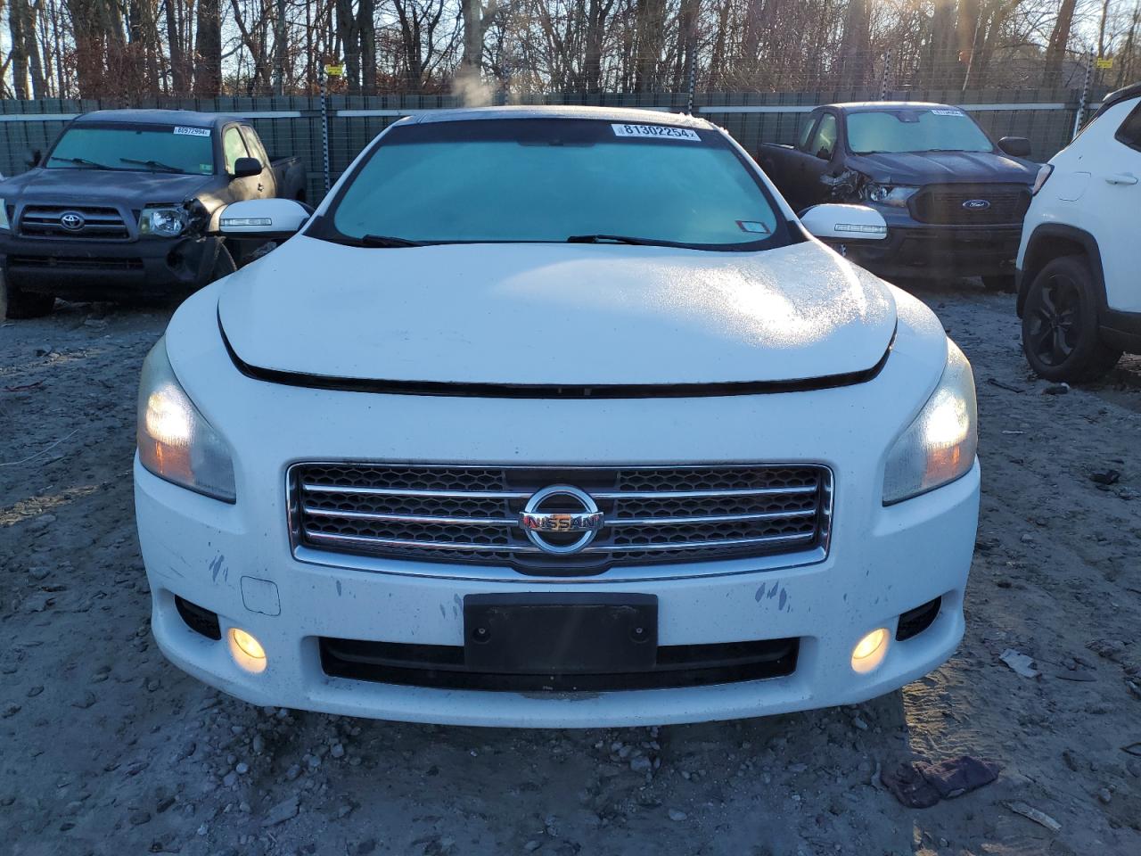 Lot #2991727013 2011 NISSAN MAXIMA S