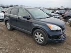 HONDA CR-V EX photo