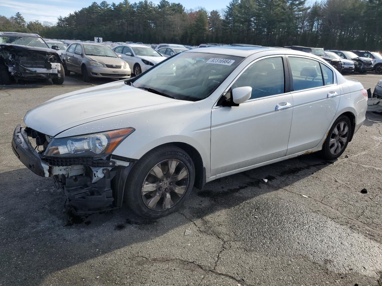 Lot #3026930990 2008 HONDA ACCORD EXL