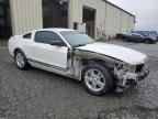 Lot #3024026250 2011 FORD MUSTANG