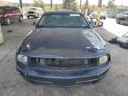 Lot #3033042991 2005 FORD MUSTANG