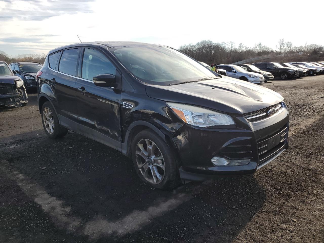 Lot #3029346779 2013 FORD ESCAPE SEL