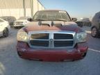 Lot #3033122001 2006 DODGE DAKOTA