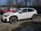 2019 SUBARU CROSSTREK - JF2GTAMC7K8295085