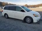 Lot #3024733264 2008 HONDA ODYSSEY EX