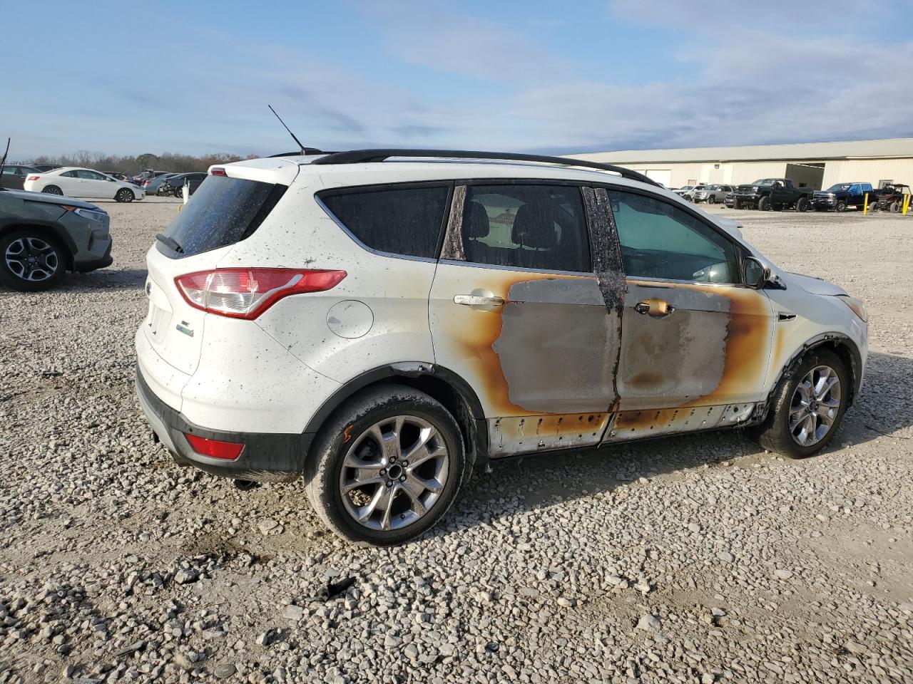 Lot #3029656070 2014 FORD ESCAPE SE