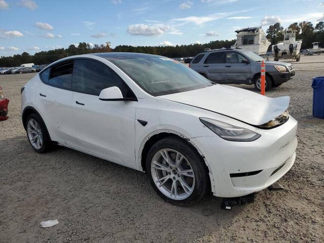 2021 TESLA MODEL Y - 5YJYGDEE1MF233600